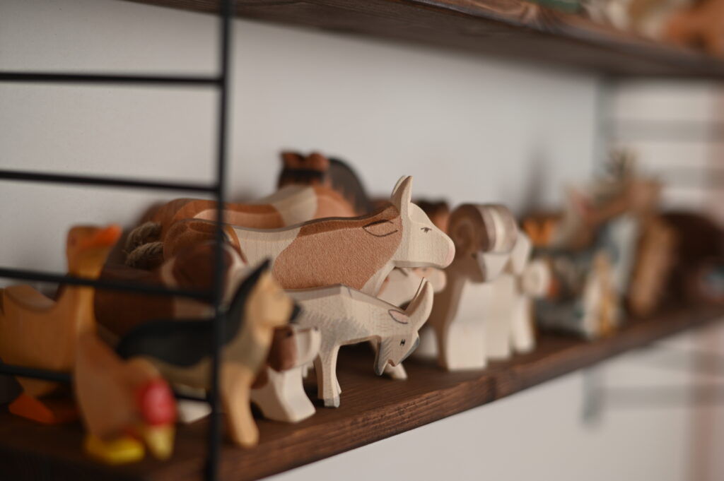 Z62_5232 Familienberatung bei Christiane Züger in Tägerwilen